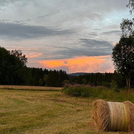 An Der Liesel Wiese Johanngeorgenstadt Eksteriør bilde