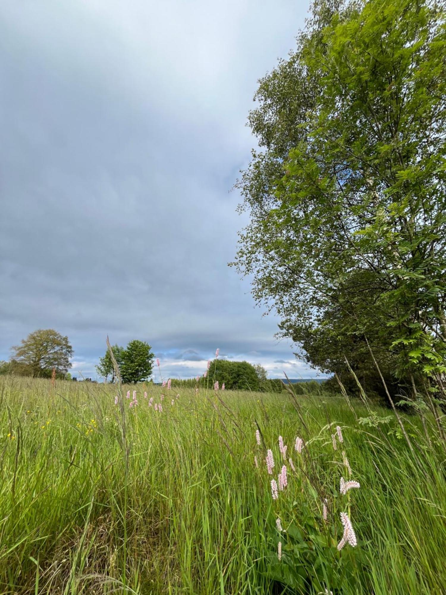 An Der Liesel Wiese Johanngeorgenstadt Eksteriør bilde